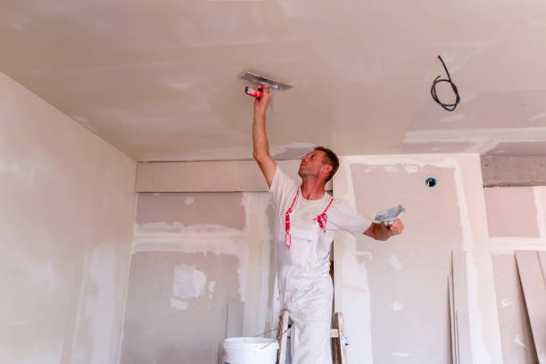 Best Drywall Texturing  in Dahlone, GA